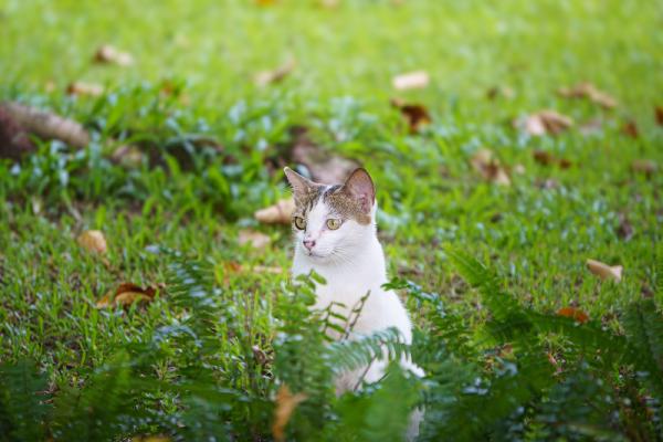 SONY ZV-E10 <br> 315mm f/6.3 1/500sec ISO 3200 <br><br> 2024-10-01 10:45:08<br><br> 