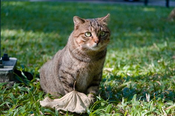 SONY ZV-E10 <br> 90mm f/4.5 1/500sec ISO 1250 <br><br> 2024-11-12 14:48:24<br><br> 