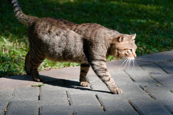 SONY ZV-E10 <br> 102mm f/5 1/500sec ISO 640 <br><br> 2024-11-12 14:49:53<br><br> 