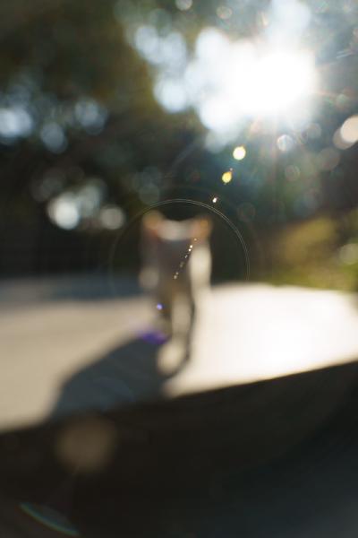 SONY ZV-E10 <br> 27mm f/6.3 1/800sec ISO 500 <br><br> 2025-01-03 15:54:09<br><br> 