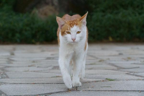 SONY ZV-E10 <br> 150mm f/8 1/1000sec ISO 6400 <br><br> 2025-01-03 16:08:08<br><br> 