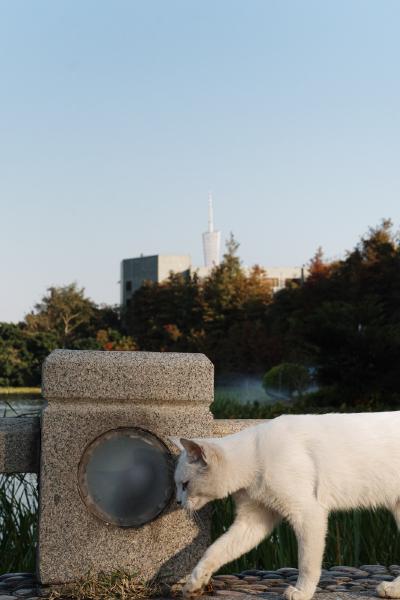 SONY ZV-E10 <br> 67mm f/11 1/640sec ISO 800 <br><br> 2025-01-03 16:16:35<br><br> 
