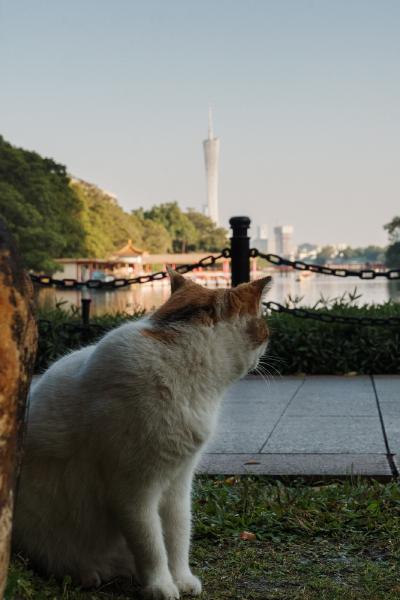 SONY ZV-E10 <br> 61mm f/11 1/640sec ISO 2500 <br><br> 2025-01-03 16:41:03<br><br> 