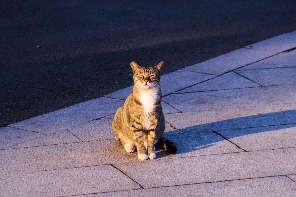 SONY ZV-E10 <br> 114mm f/6.3 1/500sec ISO 640 <br><br> 2025-01-17 16:48:51<br><br> 