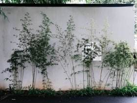 植物园