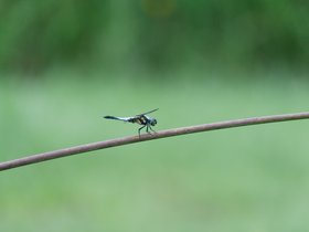 20250806-DSC09954