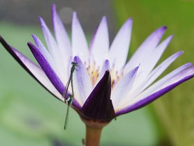 20250806-DSC09974