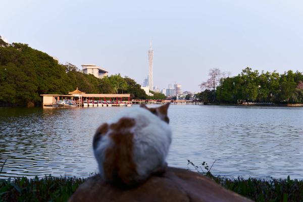 SONY ZV-E10 <br> 43mm f/4.5 1/500sec ISO 100 <br><br> 2025-04-02 17:22:44<br><br> 东山湖公园