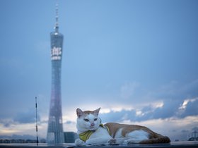 20240610-DSC04335