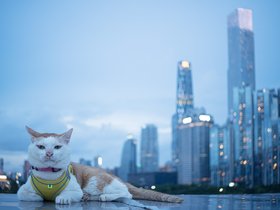 20240610-DSC04359