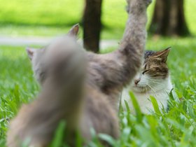 20240721-DSC06098