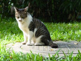 20240721-DSC06150