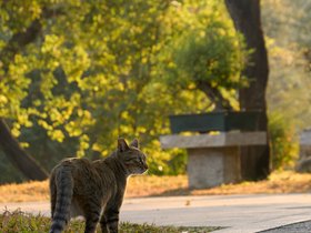 20250117-DSC09050