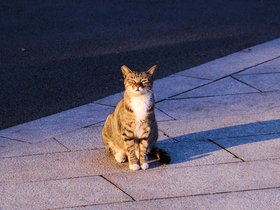 20250117-DSC09069