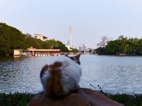 20250402-DSC02772