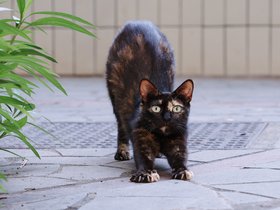 20250608-DSC07146