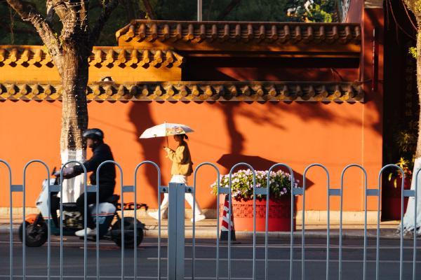 SONY ZV-E10 <br> 132mm f/8 1/400sec ISO 800 <br><br> 2024-12-19 16:02:56<br><br> 