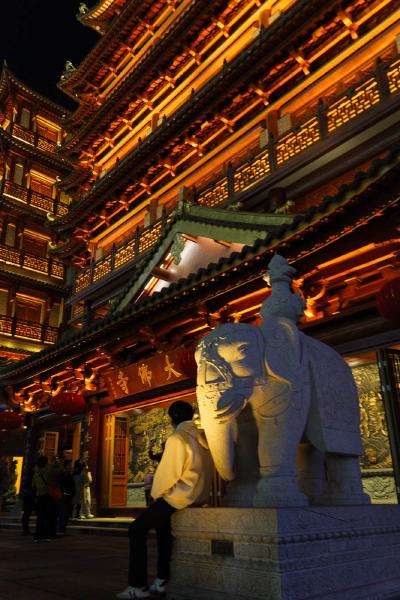 SONY ZV-E10 <br> 27mm f/3.5 1/20sec ISO 320 <br><br> 2024-12-19 18:39:06<br><br> 大佛寺。