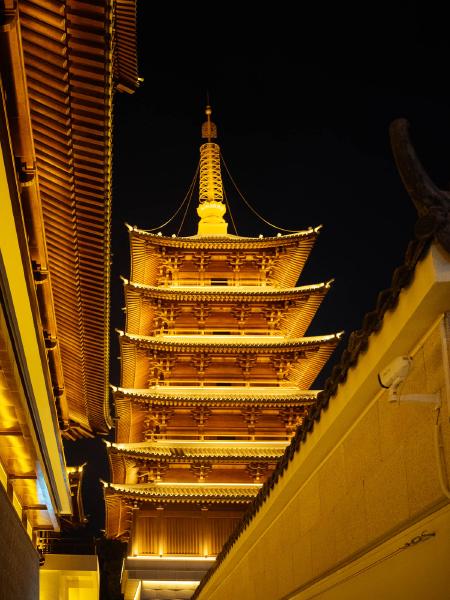 SONY ZV-E10 <br> 40mm f/2.8 1/50sec ISO 2000 <br><br> 2025-01-31 20:25:52<br><br> 