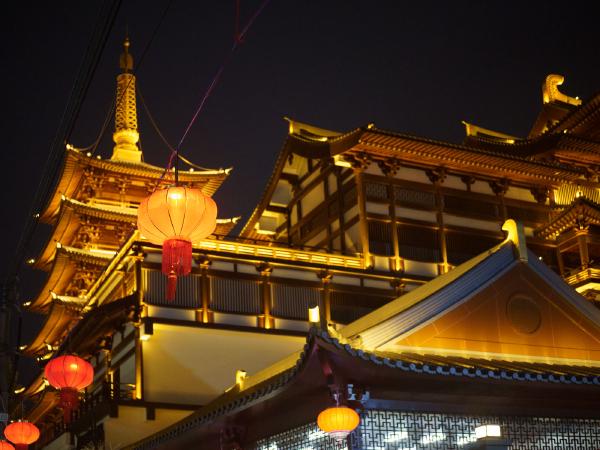 SONY ZV-E10 <br> 40mm f/2.8 1/50sec ISO 2000 <br><br> 2025-01-31 20:52:10<br><br> 