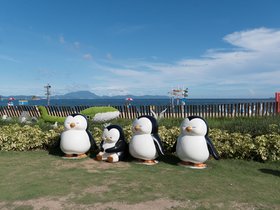 20250915-DSC02972