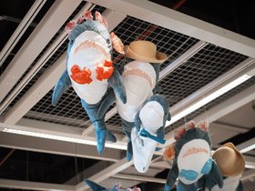 20250815-DSC01301