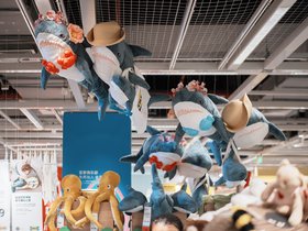 20250815-DSC01307