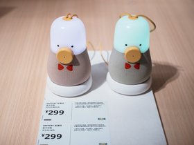 20250815-DSC01377