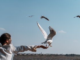 20240308-DSC01030
