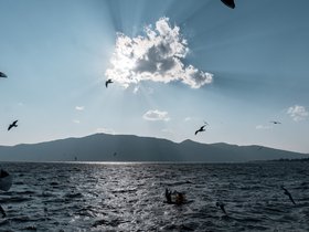 20240308-DSC01256