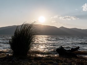 20240308-DSC01371