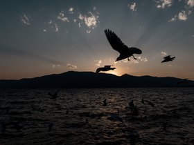 20240308-DSC01418