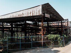 20250321-DSC01949