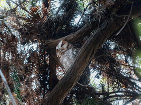 20250809-DSC00241