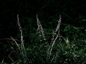 20250809-DSC00277