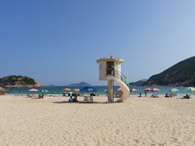 20241010-DSC08984
