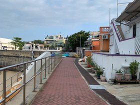 20241010-IMG_6714