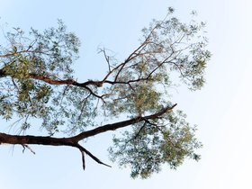 20251009-DSC04569